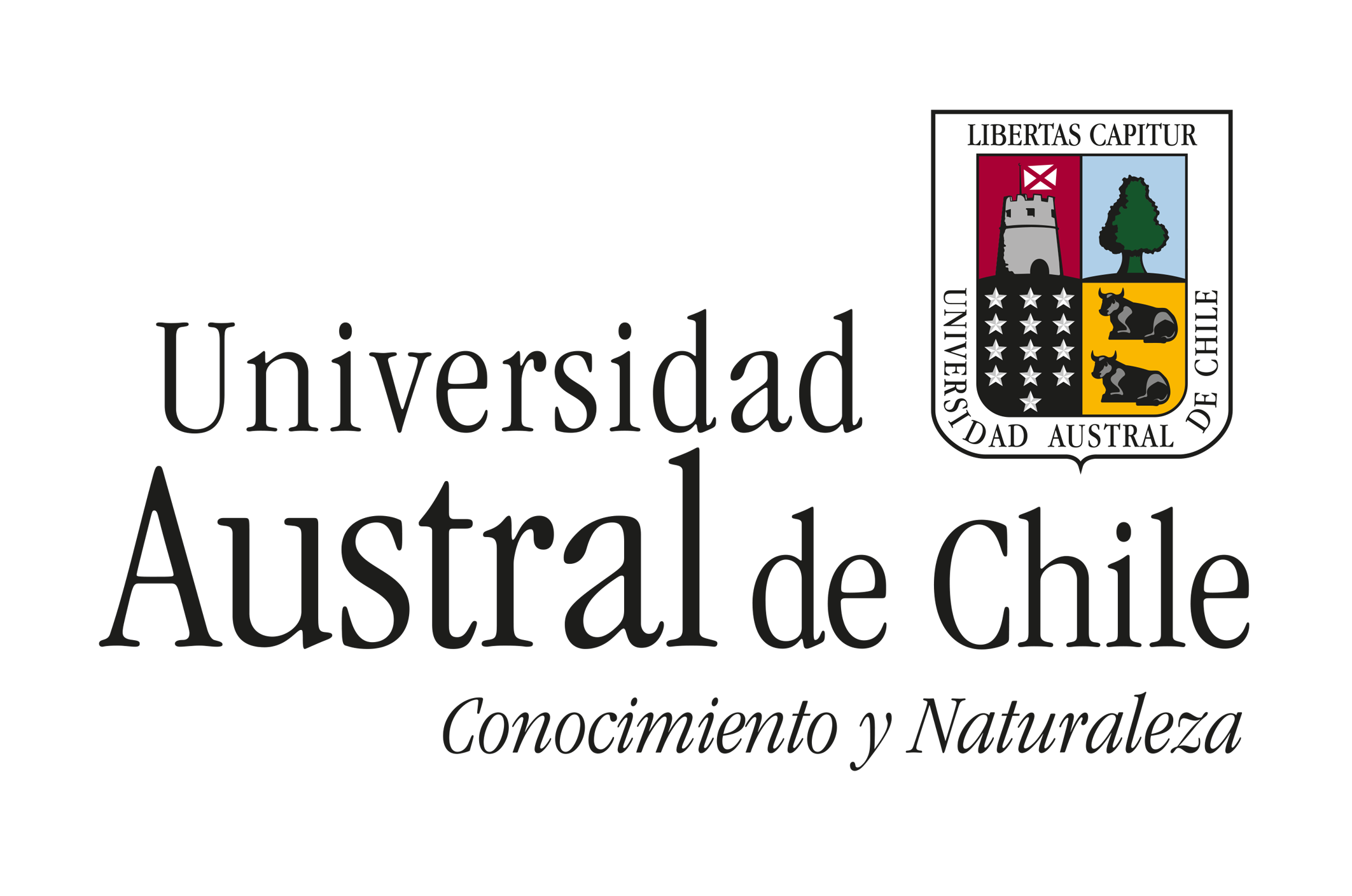 Otro logo de ejemplo